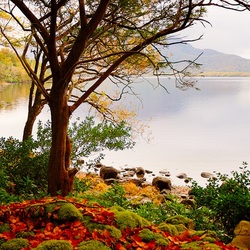 Пазл: Прекрасная пора, очей очарование!