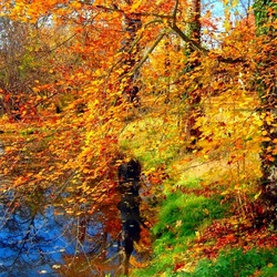 Пазл: А листья падают