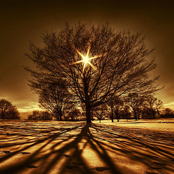 Пазл: Золотая звезда