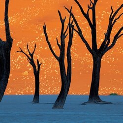 Пазл: Оранжевое 