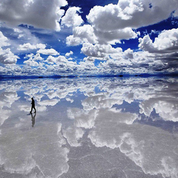 Пазл: Отражение