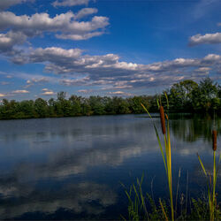 Пазл: В конце лета