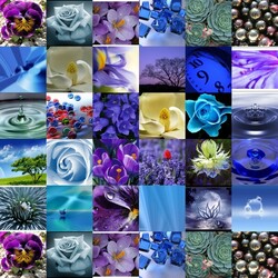 Пазл: Сине-зеленый