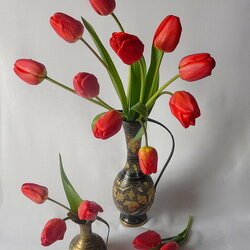 Пазл: Этюд с красными тюльпанами