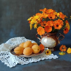 Пазл: Абрикосы и календула 