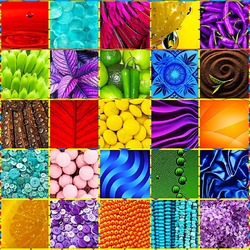 Пазл: Цветной коллаж