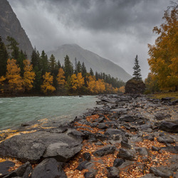 Пазл: Горная река