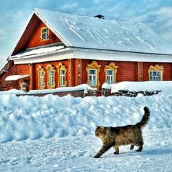 Пазл: Русская деревня зимой