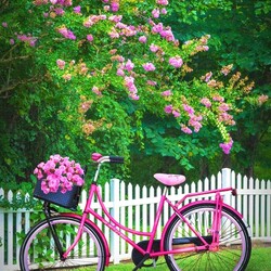 Пазл: Розовый велосипед