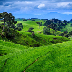 Пазл: Зелёные поля и холмы