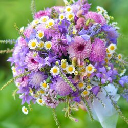 Пазл: Летний букет