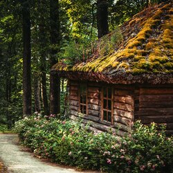 Пазл: Дом отшельника в лесу