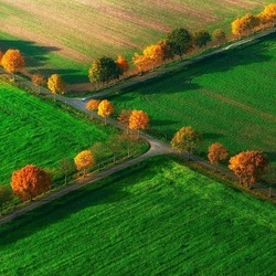 Пазл: Осенние поля