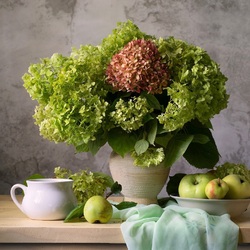 Пазл: С гортензией 