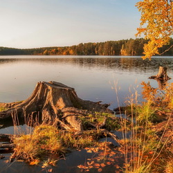 Пазл: Берег залива