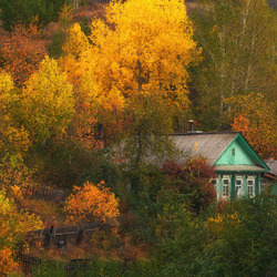 Пазл: Золотая осень