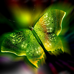 Пазл: Бабочка