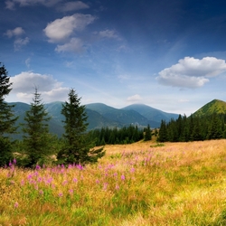 Пазл: Три ели