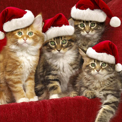 Пазл: Пушистые Санты