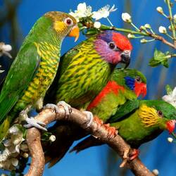 Пазл: Веселая компания