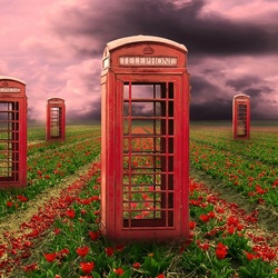 Пазл: Звонок с поля