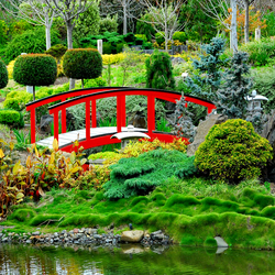 Пазл: Мостик в парке