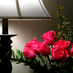 Пазл: Тихий вечер