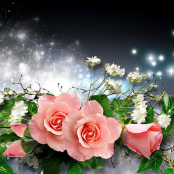 Пазл: Розовые розы