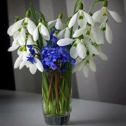 Пазл: Ранние цветы