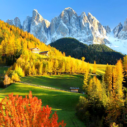 Пазл: Осенний лес