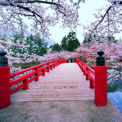 Пазл: Мостик в весеннем парке