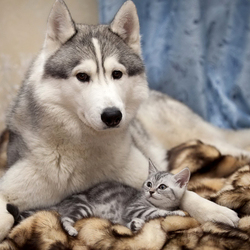 Пазл: Друзья