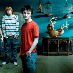 Пазл: Гарри Поттер