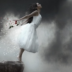 Пазл: Падение