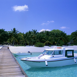 Пазл: Летний отдых