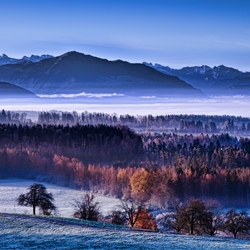 Пазл: Зимние просторы