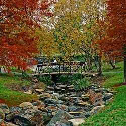 Пазл: Осенний светофор