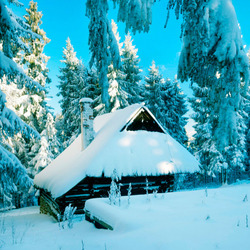 Пазл: Домик в снежном лесу
