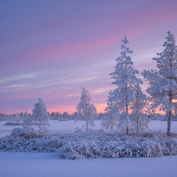Пазл: Карелия