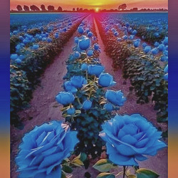 Пазл: Плантация голубых роз