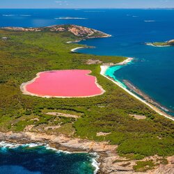 Пазл: Розовое озеро Хиллиер