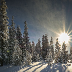 Пазл: Морозный закат