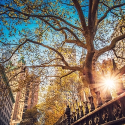 Пазл: Нью-Йорк