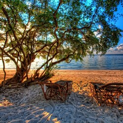 Пазл: В тени