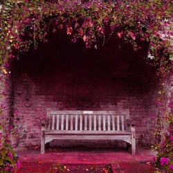 Пазл: В окружении красоты