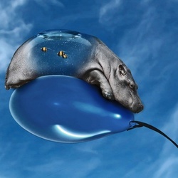 Пазл: Бегемот