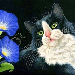 Пазл: В ночи