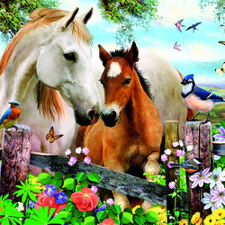 Пазл: Лошадки