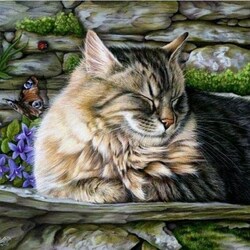 Пазл: Зажмурился...