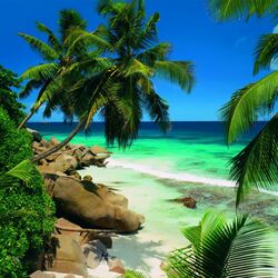 Пазл: Солнце и море